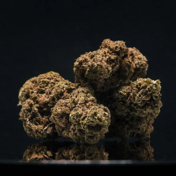 OG Kush CBD Big Bud Glasshouse