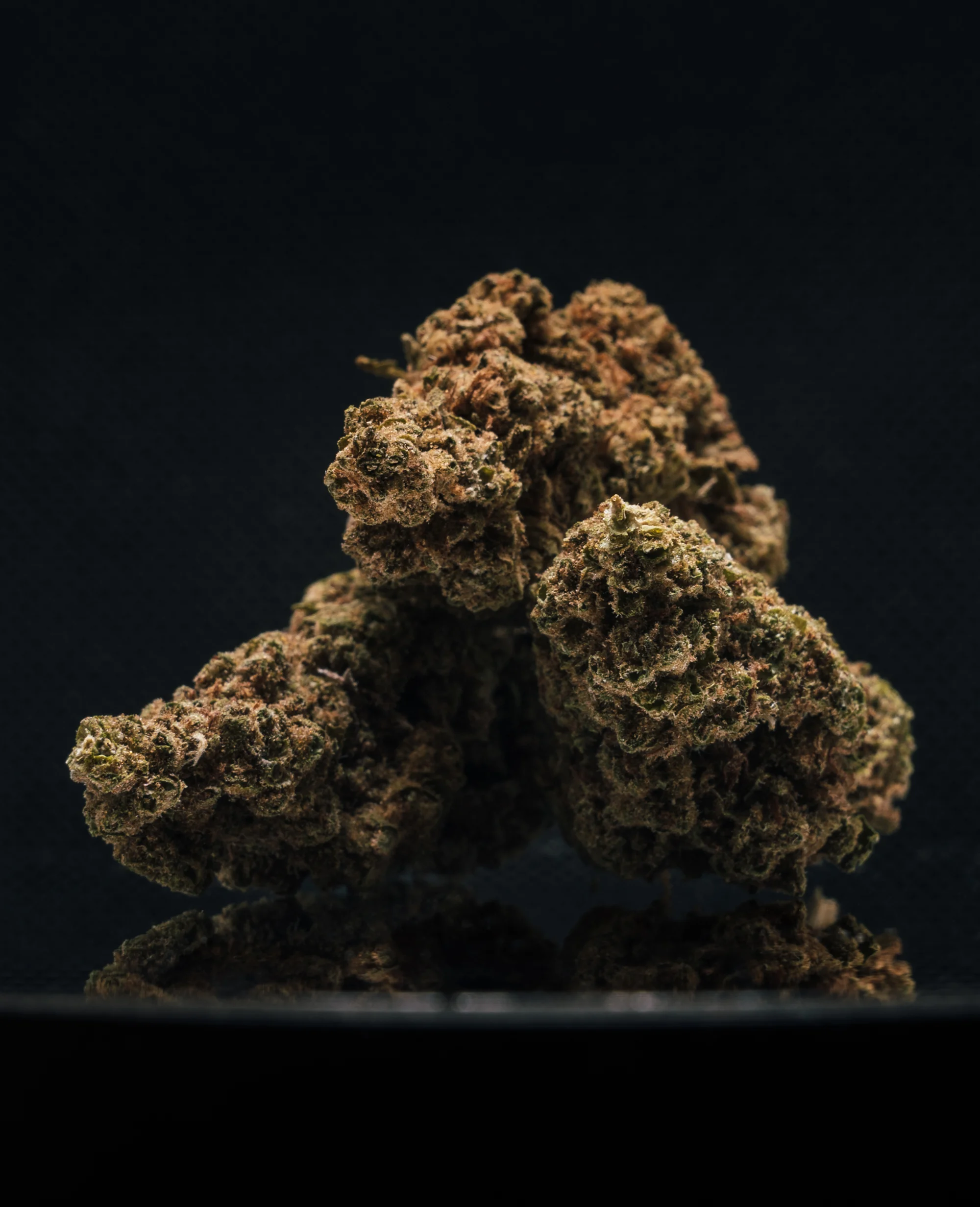 flor-glasshouse-og-kush-2