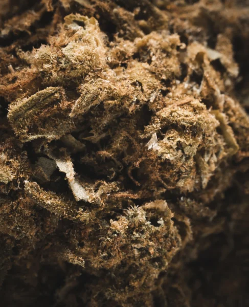 flor-glasshouse-og-kush-macro