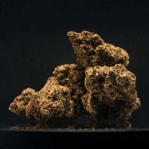 Orange Bud CBD Big Bud Glasshouse