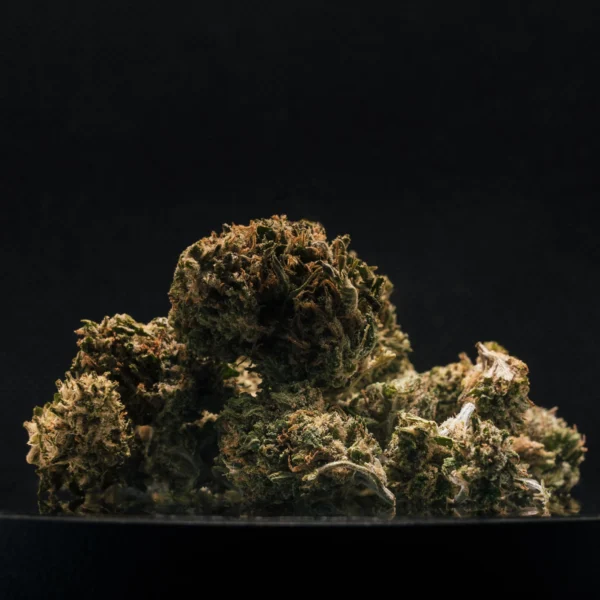 Harlequin CBD Small Buds Glasshouse