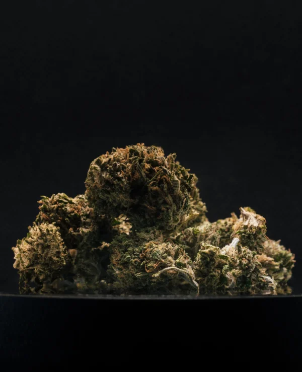 Harlequin CBD Small Buds Glasshouse