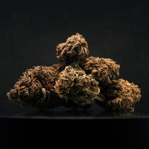 AK-47 CBD Big Bud Greenhouse