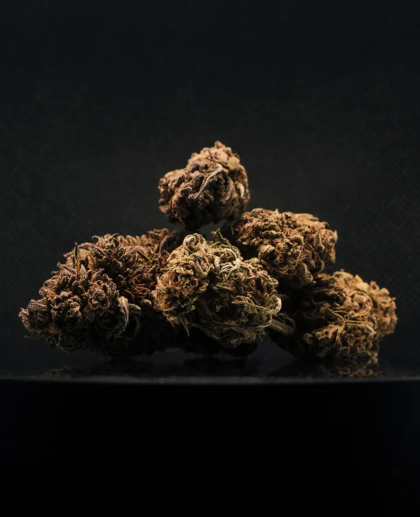 AK-47 CBD Big Bud Greenhouse