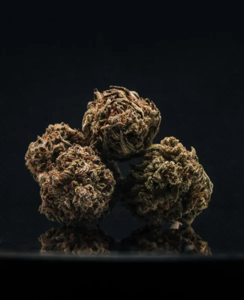 flor-greenhouse-ak47-2