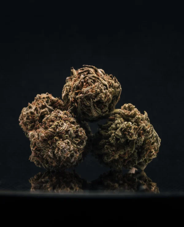 Second image of AK-47 CBD Big Bud Greenhouse