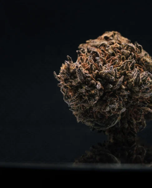 flor-greenhouse-ak47-detalle