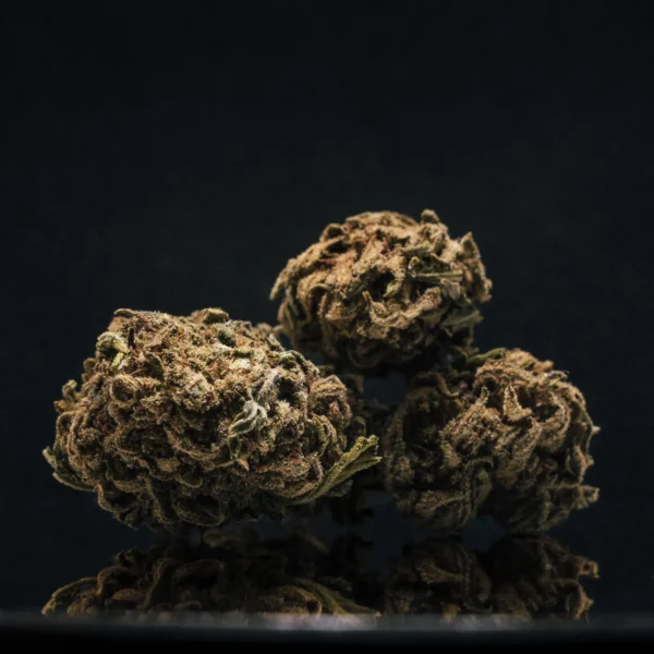 Banana Smash CBD Big Bud Greenhouse