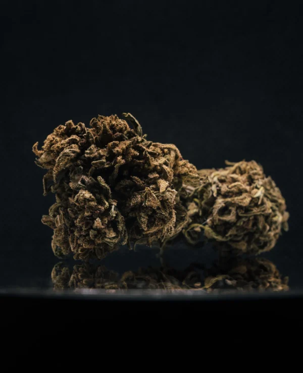 Second image of Banana Smash CBD Big Bud Greenhouse