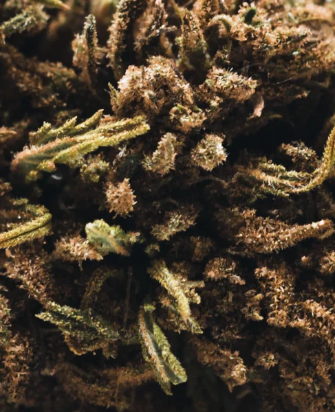 flor-greenhouse-banana-smash-macro