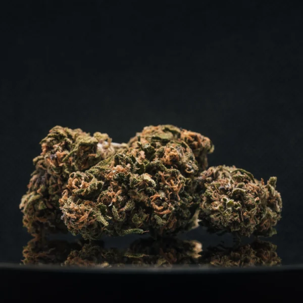 Bubblegum CBD Bud Mix Greenhouse