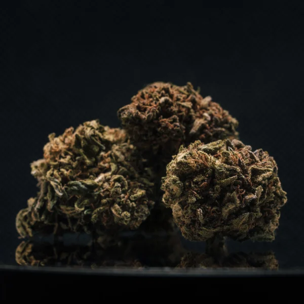 Jack Herer CBD Big Bud Greenhouse