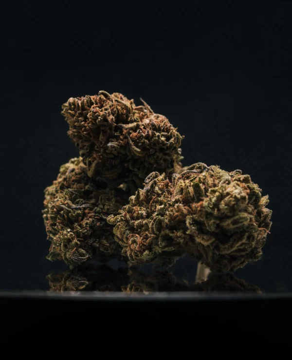 Second image of Jack Herer CBD Big Bud Greenhouse