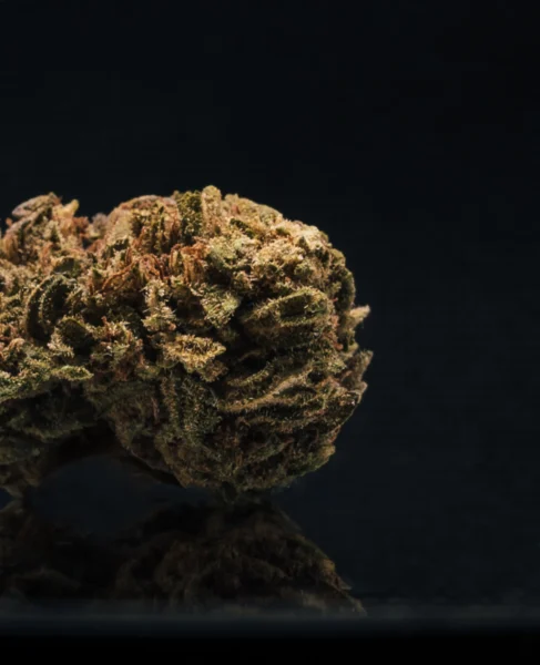 flor-greenhouse-jack-herer-detalle