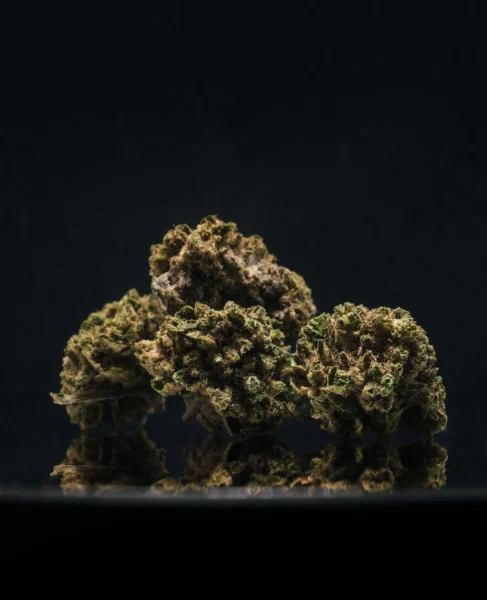 flor-greenhouse-smallbuds-bz1-1