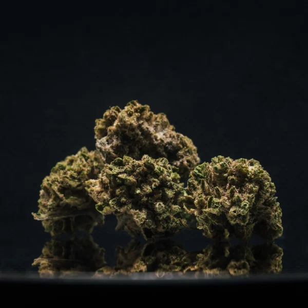 BZ1 CBD Small Buds Greenhouse