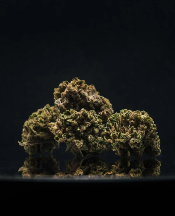 BZ1 CBD Small Buds Greenhouse