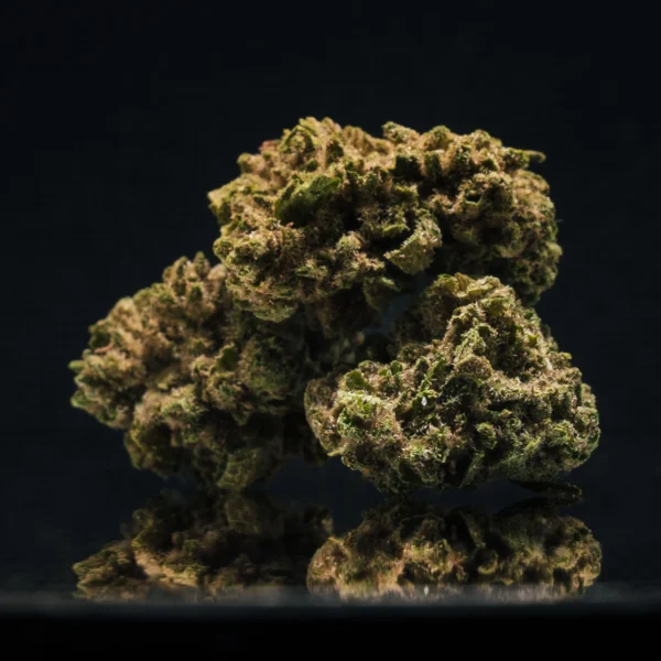 Cannatonic CBD Small Buds Greenhouse