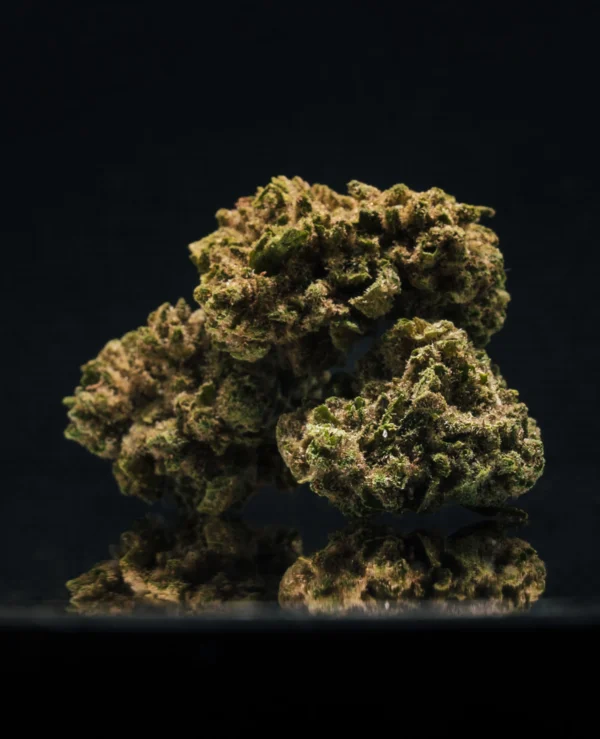 Cannatonic CBD Small Buds Greenhouse