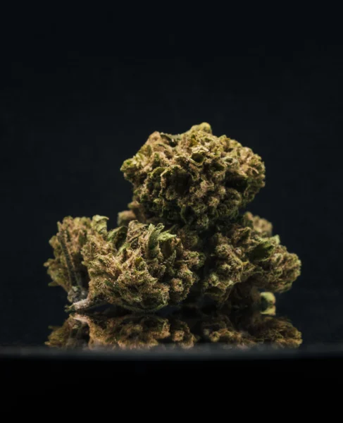 flor-greenhouse-smallbuds-canntatonic-2