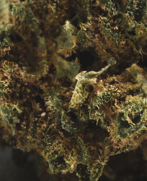 flor-greenhouse-smallbuds-canntatonic-macro