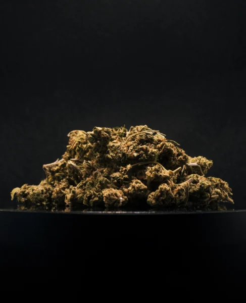 flor-greenhouse-smallbuds-plutonium-1