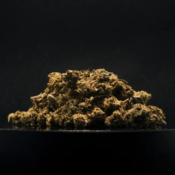 Plutonium CBD Small Buds Greenhouse