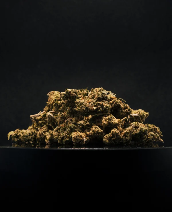 Plutonium CBD Small Buds Greenhouse
