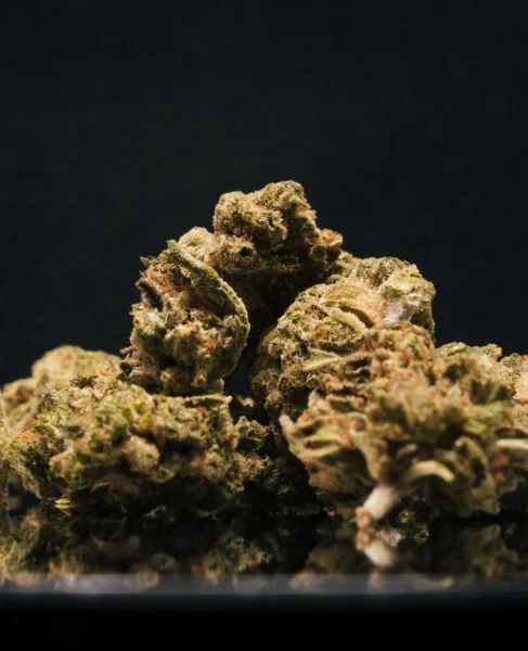 flor-greenhouse-smallbuds-plutonium-detalle