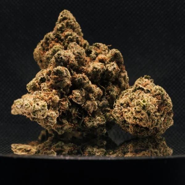 Amnesia Haze CBD Big Bud Indoor Hydro