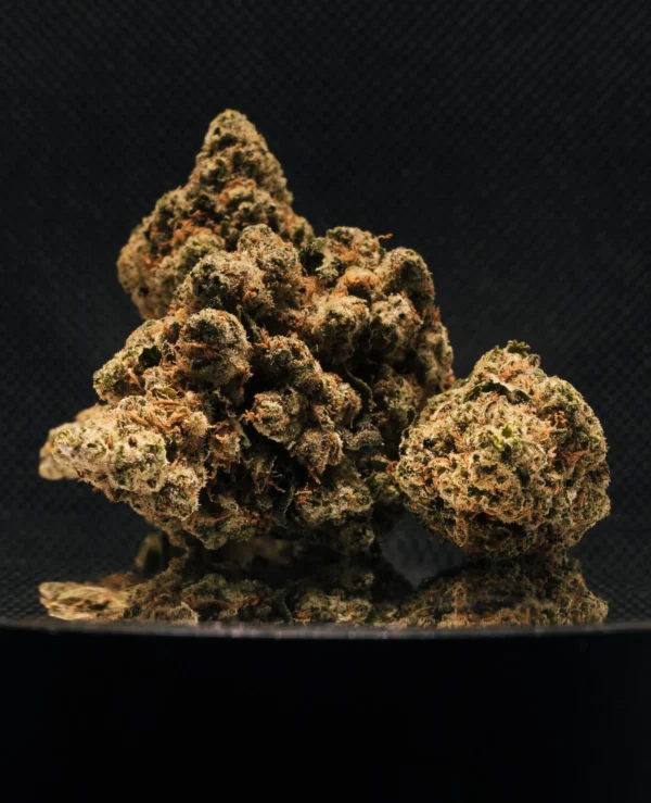 Amnesia Haze CBD Big Bud Indoor Hydro