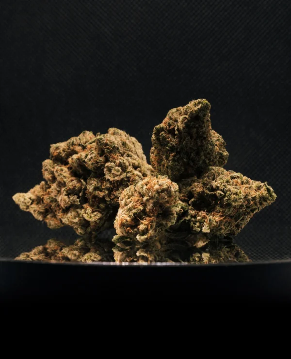 Second image of Amnesia Haze CBD Big Bud Indoor Hydro