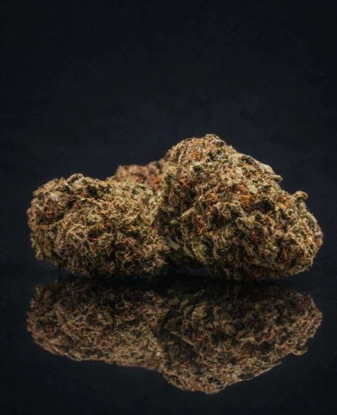 flor-indoor-buttercream-gelato-cali-1
