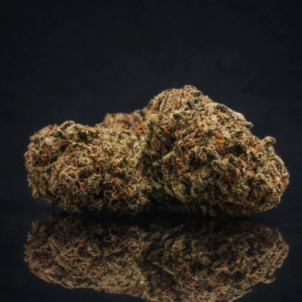 Buttercream Gelato CBD Big Bud Indoor California