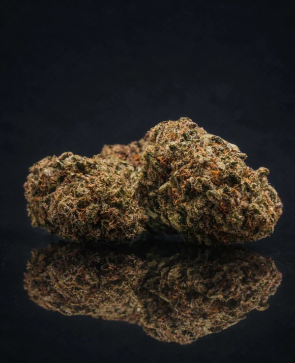 Buttercream Gelato CBD Big Bud Indoor California