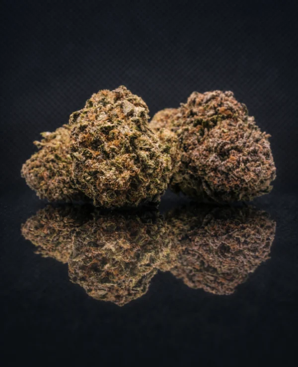 Second image of Buttercream Gelato CBD Big Bud Indoor California