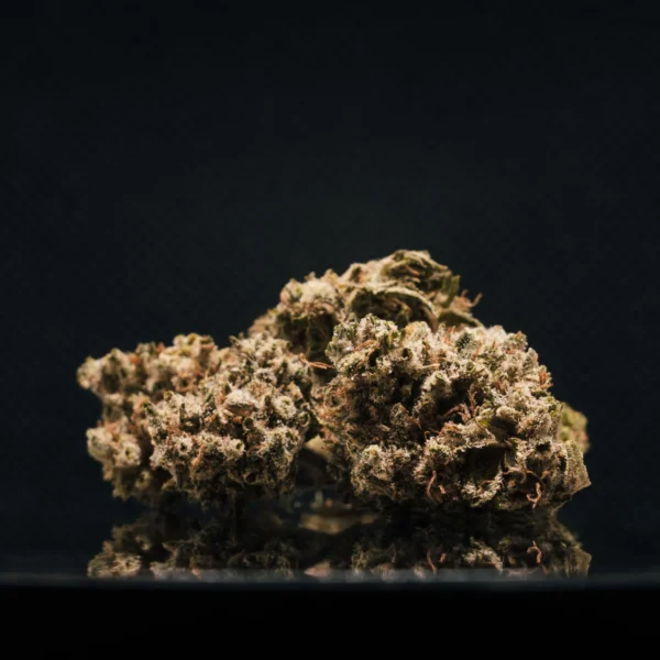 Critical + 2.0 CBD Medium Buds Indoor Hydro