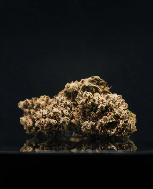 Critical + 2.0 CBD Medium Buds Indoor Hydro