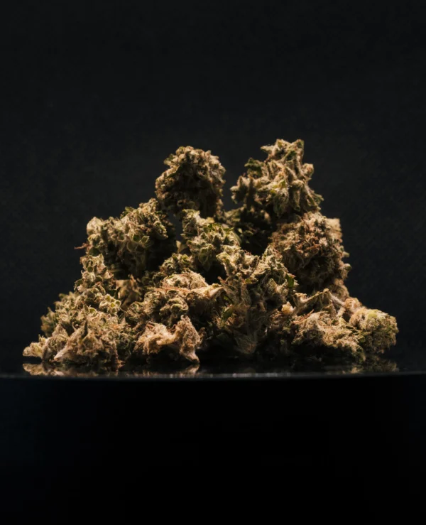 Second image of Critical + 2.0 CBD Medium Buds Indoor Hydro