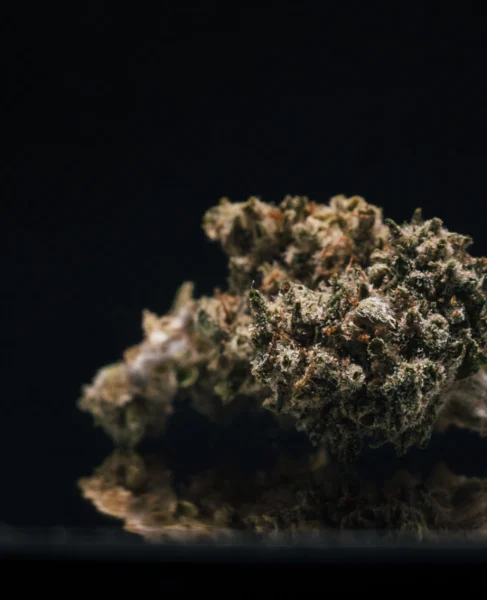 flor-indoor-critical-2-0-hydro-detalle