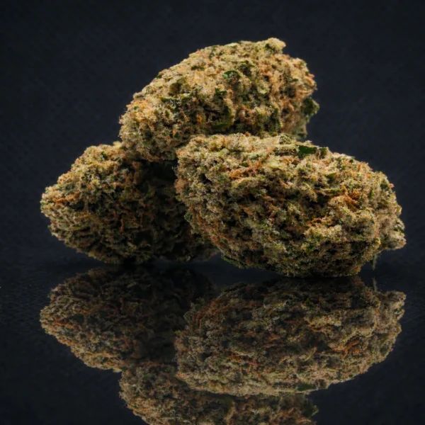 Skywalker OG CBD Big Bud Indoor California