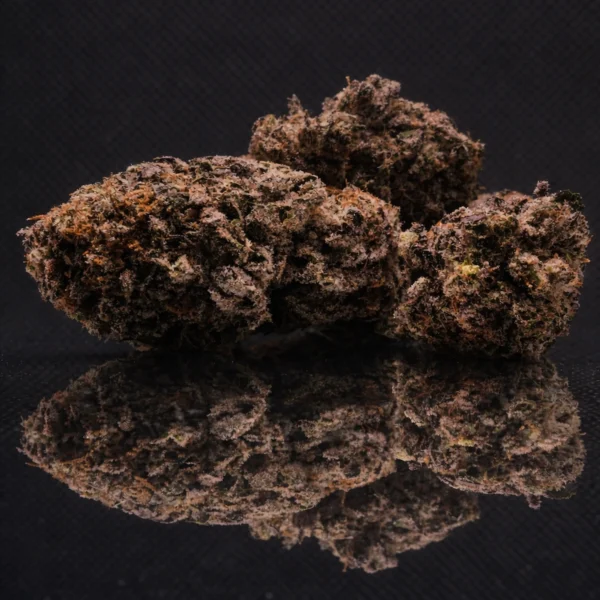 Sour Diesel CBD Big Bud Indoor California