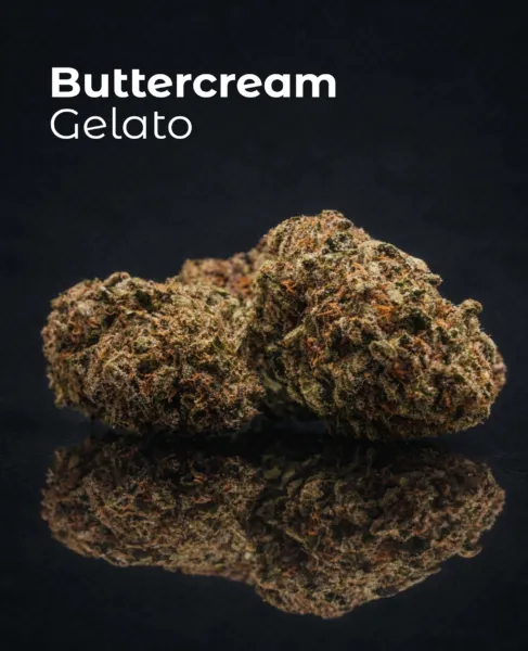 Flor CBD Buttercream Gelato del pack Cali Collection sobre fondo oscuro