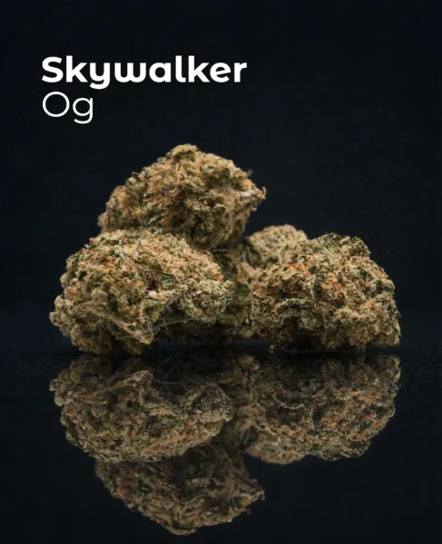 Flor CBD Skywalker OG del pack Cali Collection sobre fondo oscuro