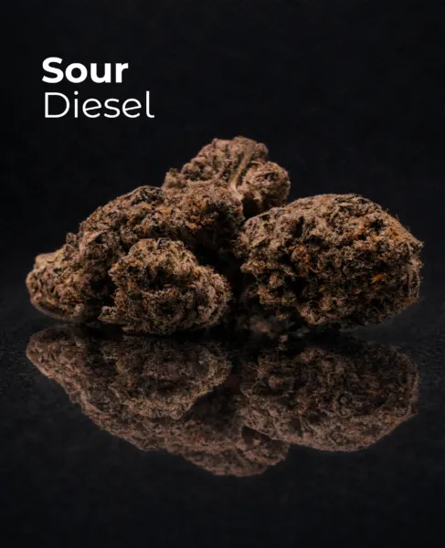 Flor CBD Sour Diesel del pack Cali Collection sobre fondo oscuro