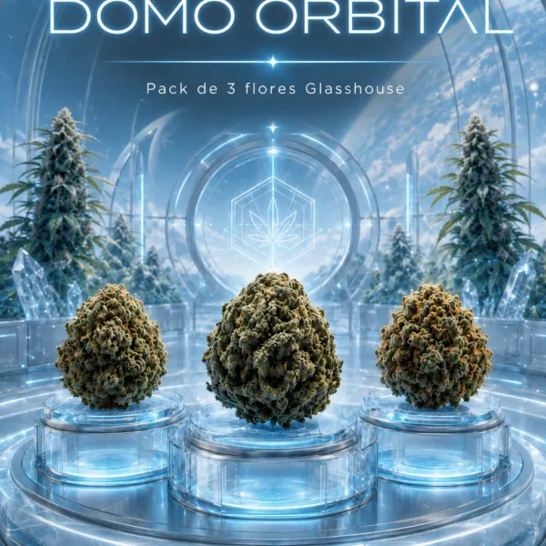 Pack Glasshouse Experience CBD – Domo Orbital