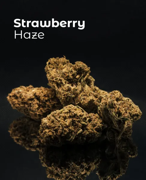 Flor CBD Strawberry Haze del pack Domo Orbital sobre fondo oscuro