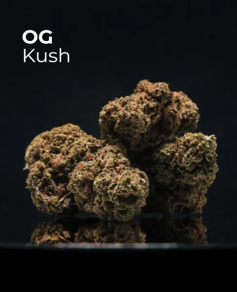 Flor CBD OG Kush del pack Invernaderos del Sistema Solar sobre fondo oscuro