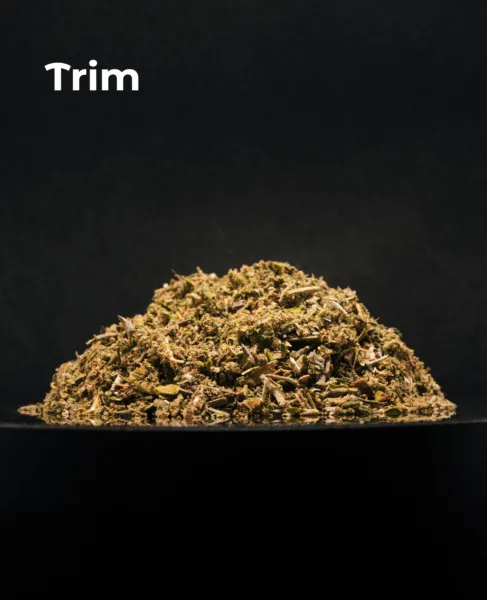 Trim CBD del pack Invernaderos del Sistema Solar sobre fondo oscuro