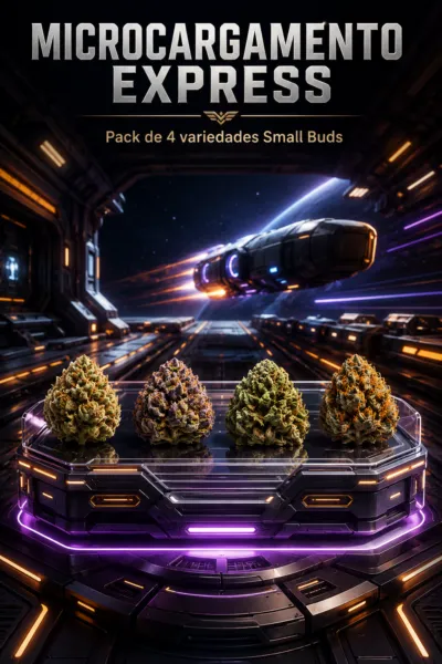 pack-cbd-microcargamento-express-completo